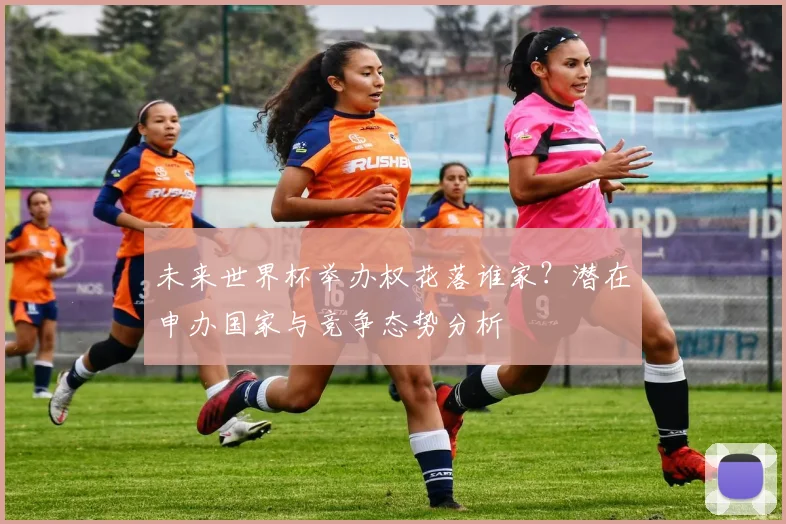 未来世界杯举办权花落谁家？潜在申办国家与竞争态势分析