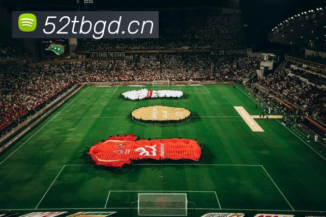 星空体育在线免费观看平台生态图